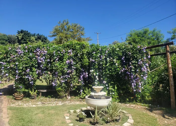 Milagro de Amor