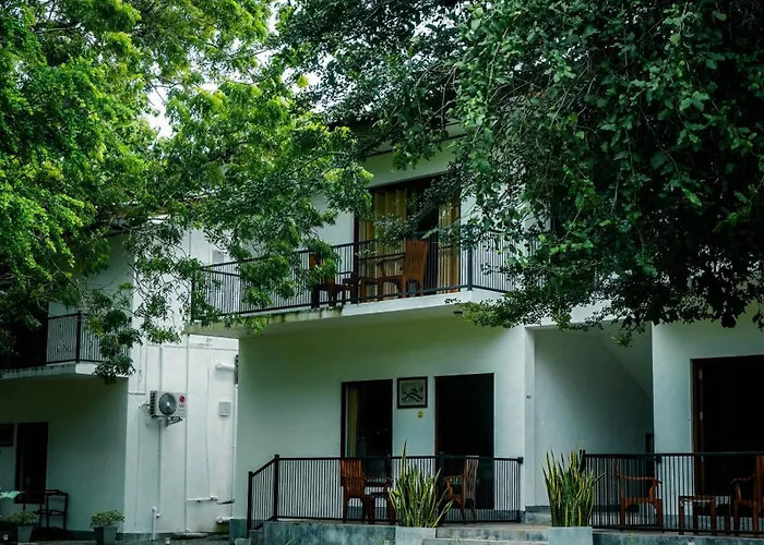Jungle Breeze Yala By Forest Trails