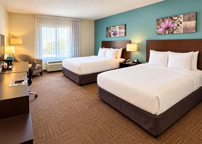Sleep Inn & Suites Near Westchase Houston