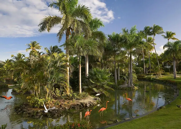 Melia Caribe Beach Resort
