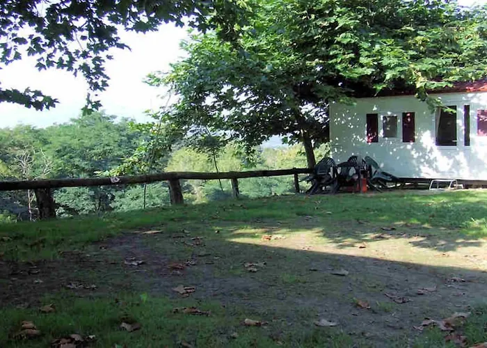Camping Manex