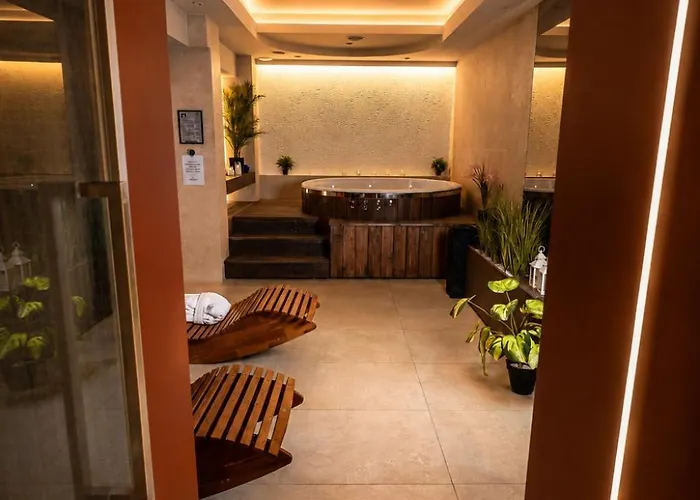 Hotel Ara - Dancing Club Restauracja Kameralne Spa Ara