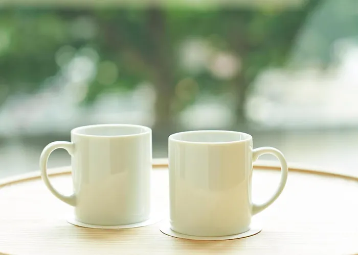 Sotetsu Fresa Inn Tokyo-Akasaka