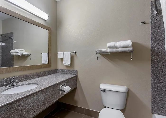Comfort Inn & Suites Carbondale University Area