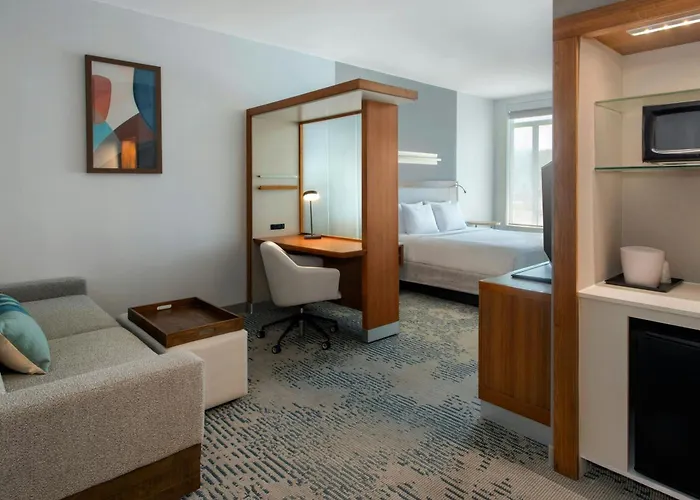 Springhill Suites By Marriott Buffalo Airport