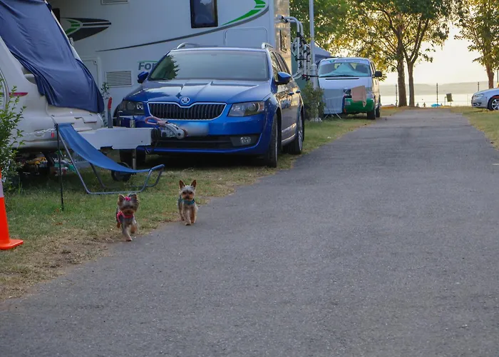 Aranypart Camping & Apartments