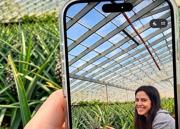Herdade Do Ananas