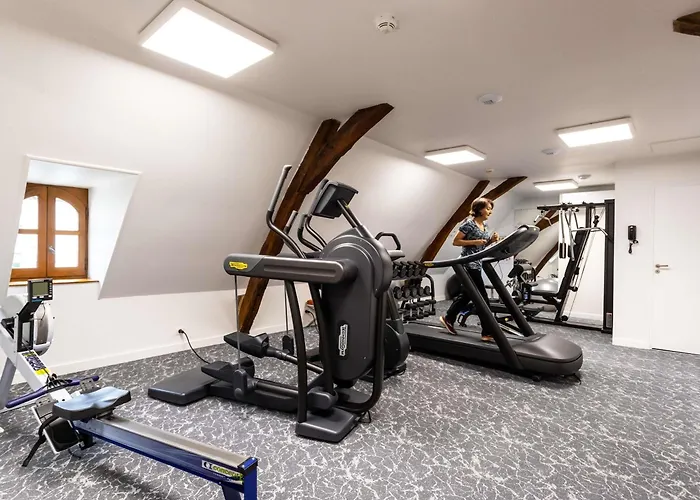 Hotel De Bourbon - Mercure Bourges Centre