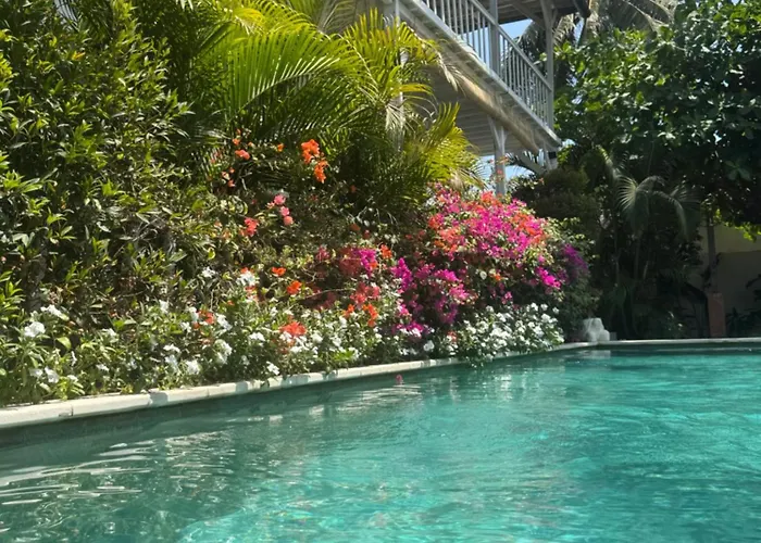 White Coconut Resort