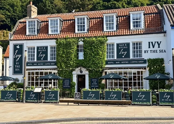 Ivy By The Sea