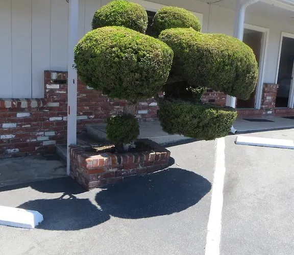 Old Marina Inn