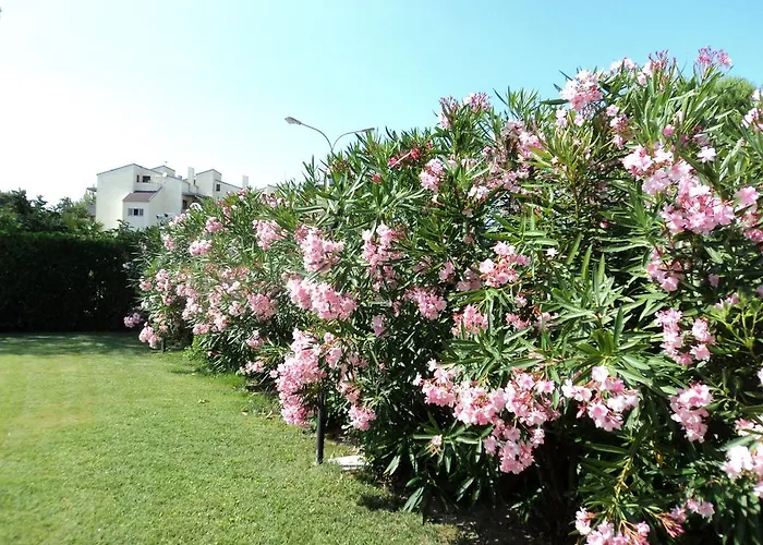 Hotel Vila Bahia