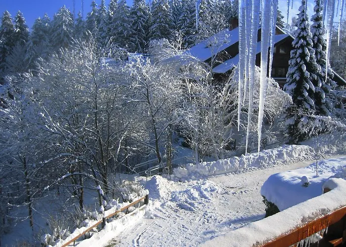 Hotel Rita