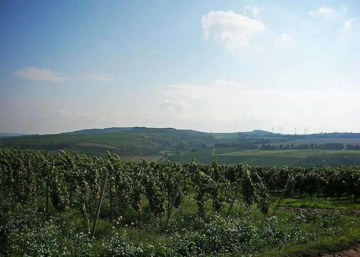 Landhotel&Weingut Espenhof