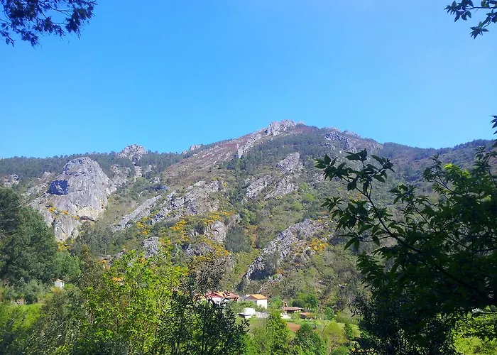 Góis Camping