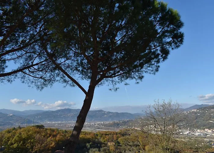 La Trigola