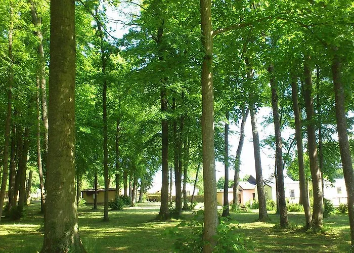 Gite Le Bois Fleuri