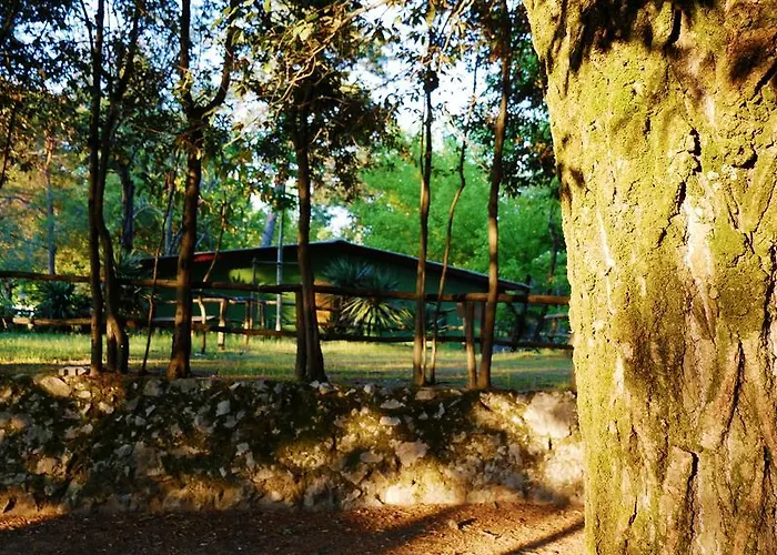 Campeggio Al Bosco