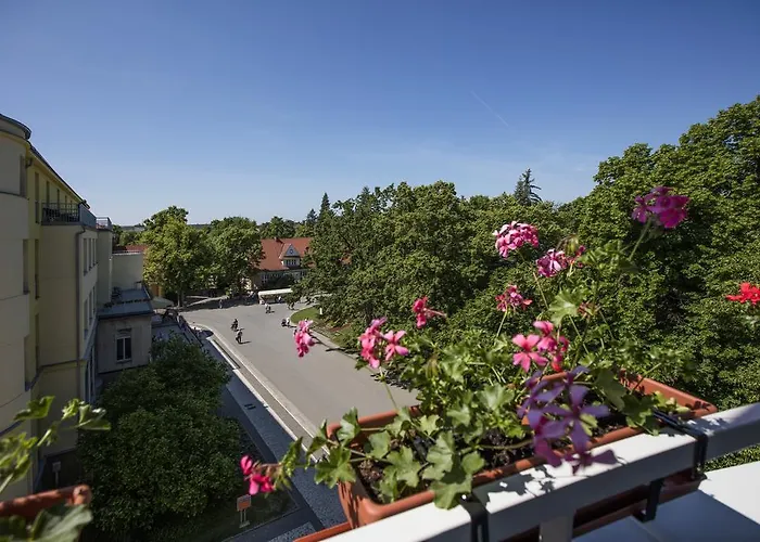 Hotel Bellevue Tlapak