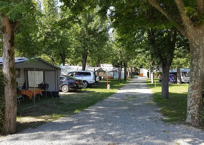 Camping Taimi