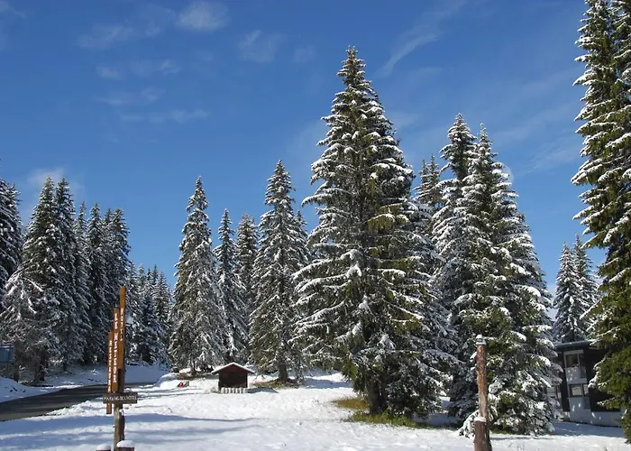 Hotel Chalet Le Caribou