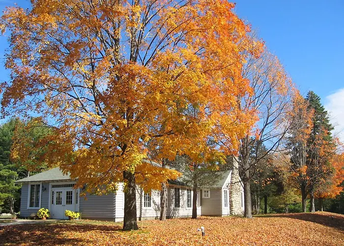 Tuxbury Pond Camping Resort Tiny House Murphy