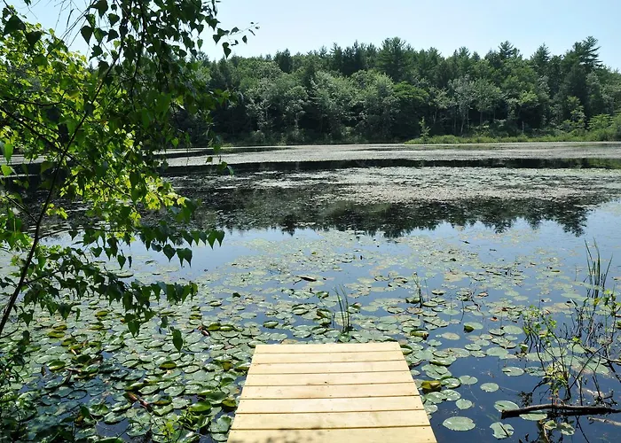 Tuxbury Pond Camping Resort Tiny House Riley