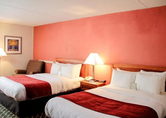 Comfort Inn & Suites Airport