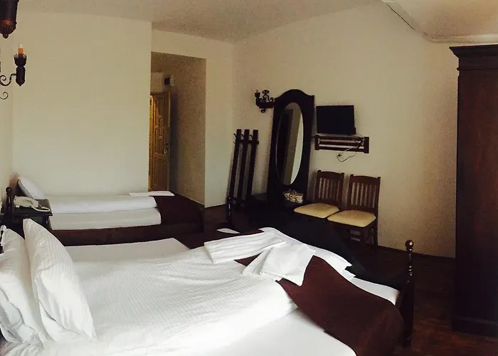 Hotel Casa Vlahilor
