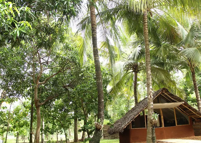 Ariya Tissa