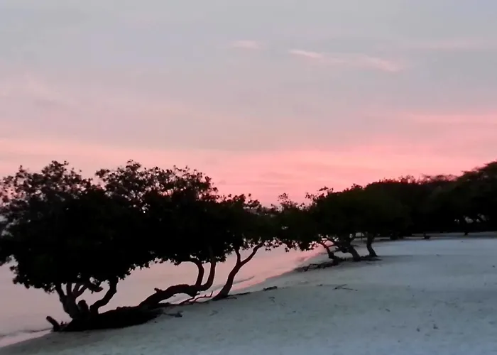 Aruba Surfside Marina