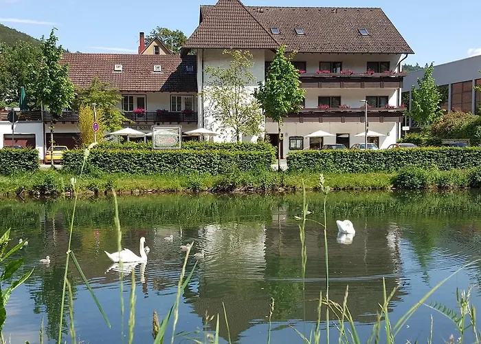 Hotel Schiff Nagold