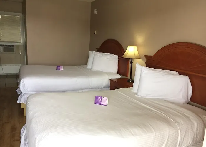 Nice Inn Edmonton