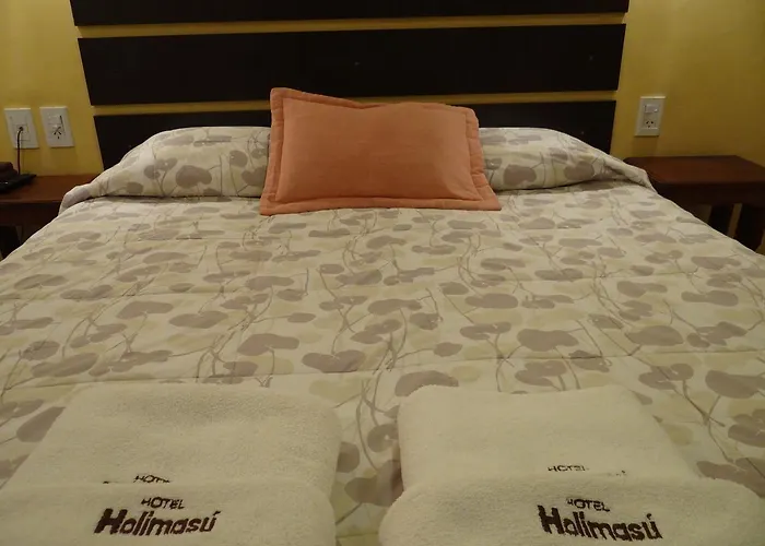 Hotel Holimasu