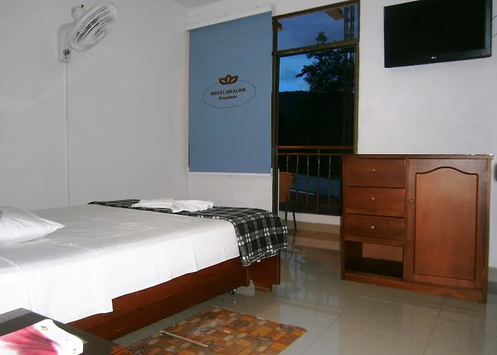 Hotel Shalom Phe Guaduas