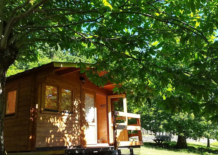 Camping Camaldoli