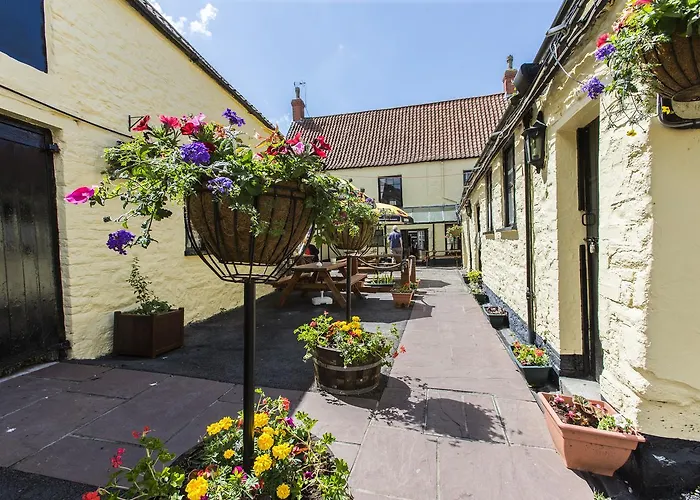 The Swan