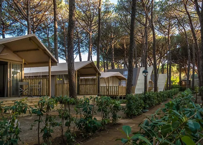 Camping Free Beach