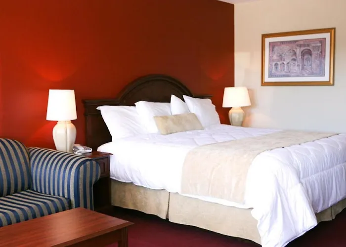 Saxony Motel