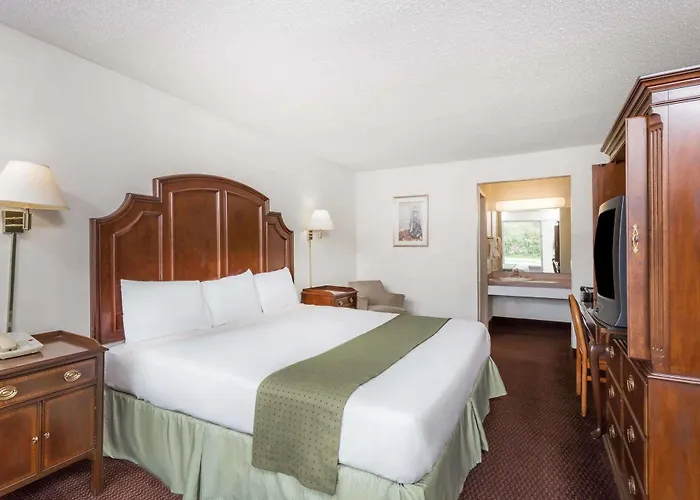 Palmetto Inn By Magnuson Worldwide