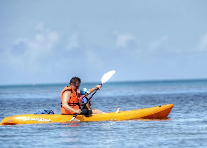 Jean Michel Cousteau Rst Fiji