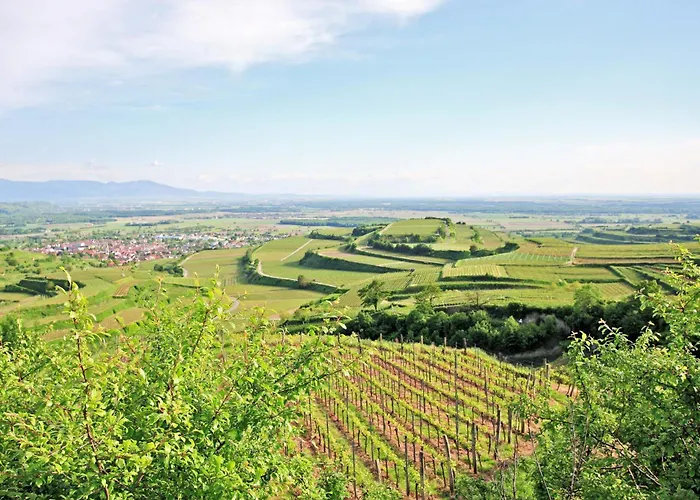 Hotel Winzerstube