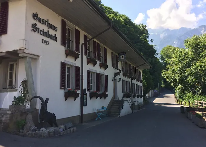 Historic Hotel Steinbock