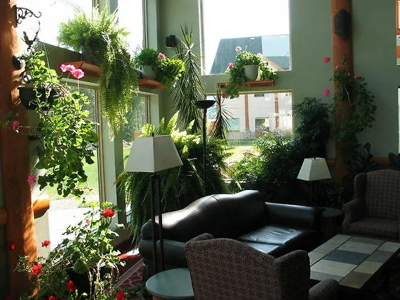 Holiday Inn Hotel & Suites Valemount