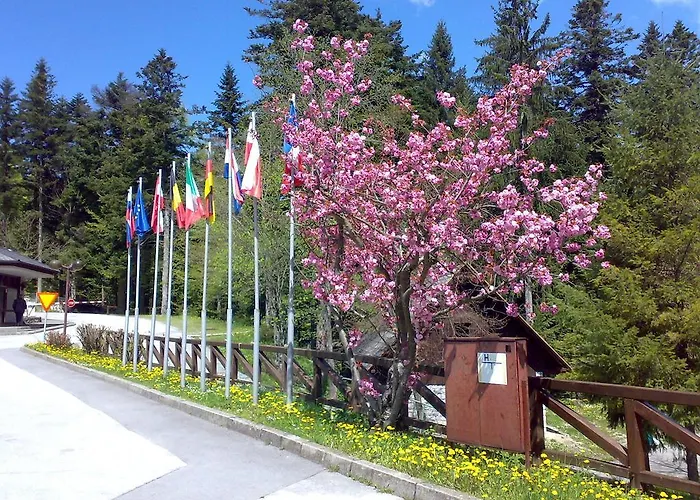 Camping Pivka Jama Postojna