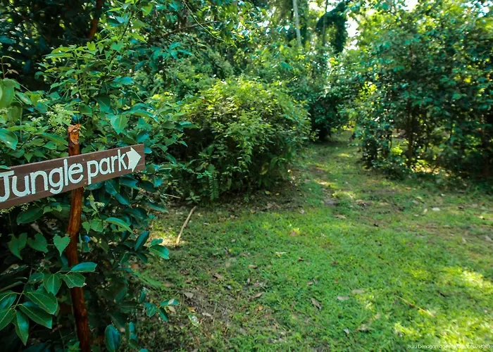 Jungle Paradise