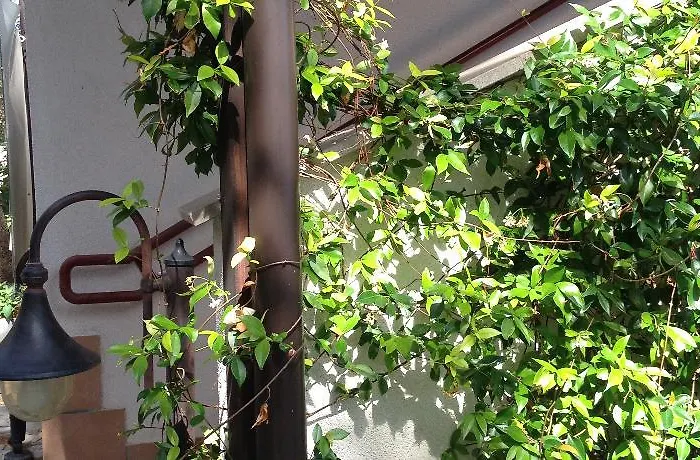 Park Hotel Muggia
