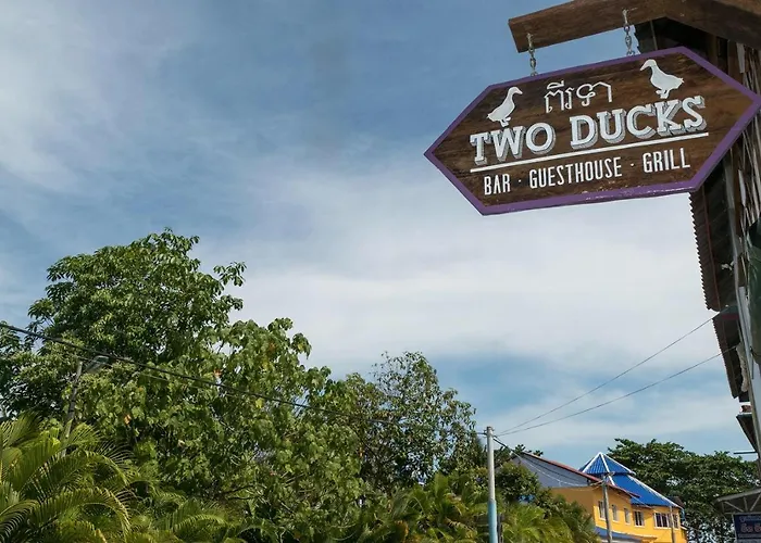 Two Ducks