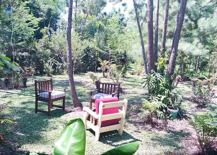 Cabana Bambu