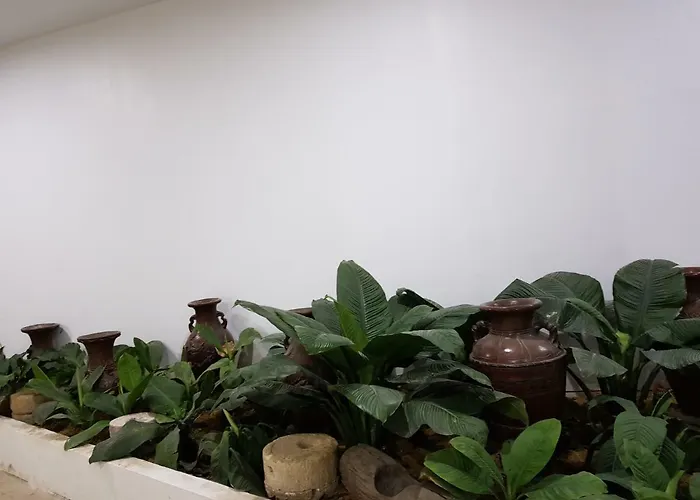 B&S Orchids Suites Hotel
